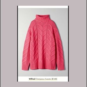 Aritiza wilfred champeaux sweater